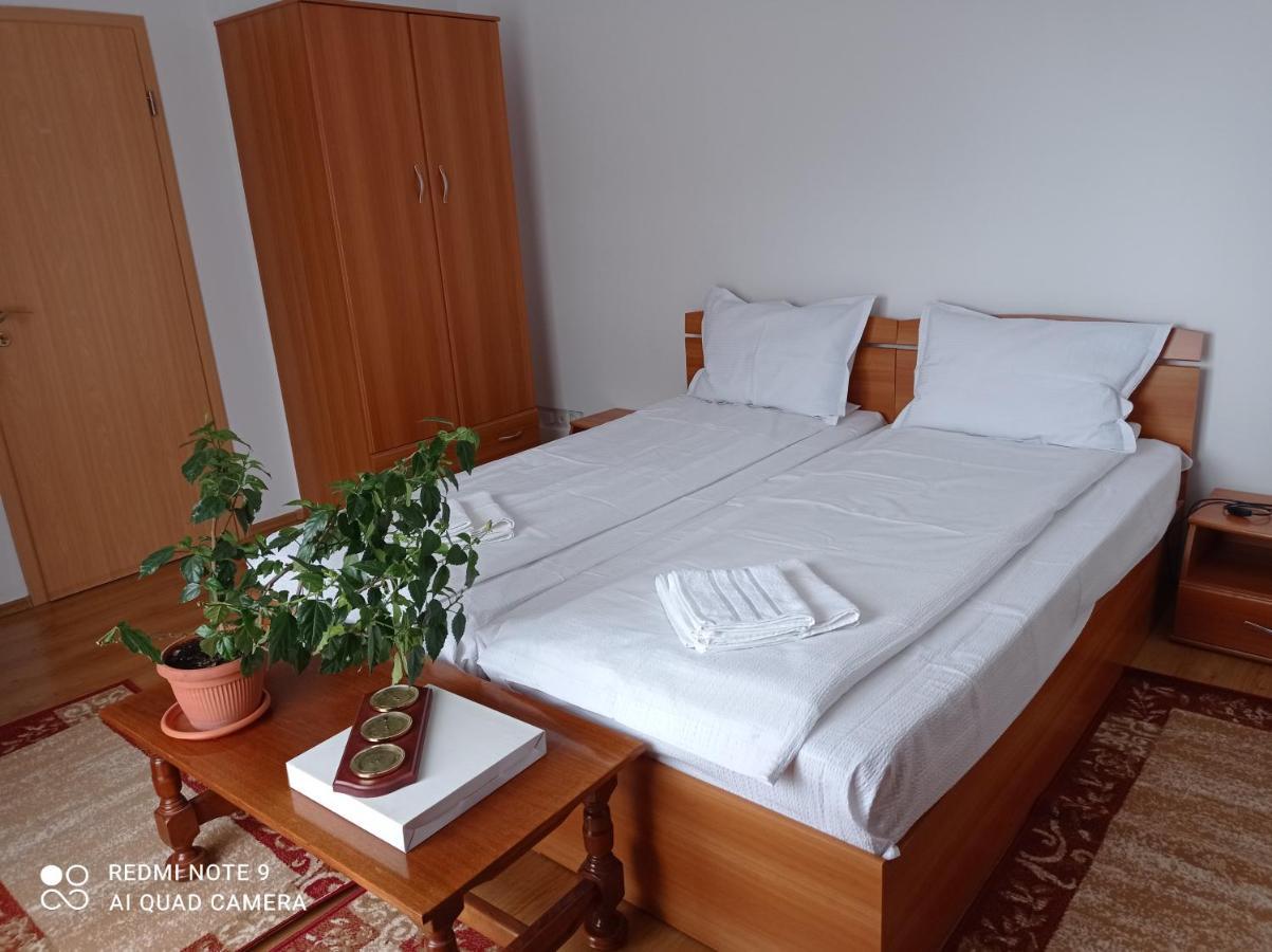 Pension Vila Andra Sibiu Exterior foto