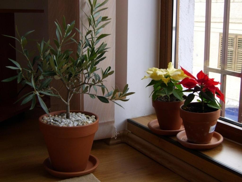 Pension Vila Andra Sibiu Habitación foto
